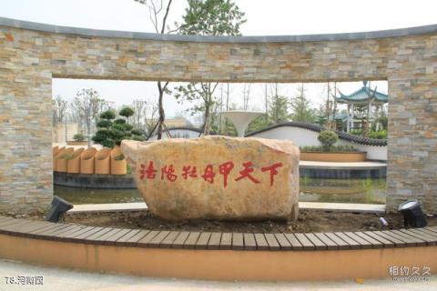 第八届中国花博会[常州]旅游攻略 之 河南园
