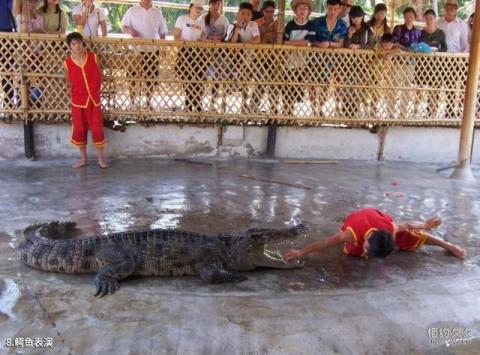 文昌椰子大观园旅游攻略 文昌椰子大观园旅游攻略