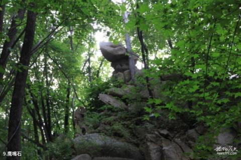 铁岭盘龙山风景区旅游攻略 铁岭盘龙山风景区旅游攻略