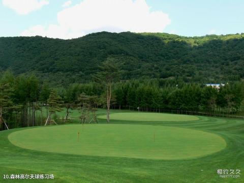 吉林长春净月潭景区旅游攻略 之 森林高尔夫球练习场 吉林长春净月潭景区旅游攻略 之 森林高尔夫球练习场