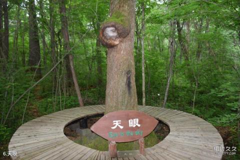 白山露水河国家森林公园旅游攻略 之 天眼