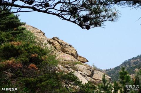 招远罗山国家森林公园旅游攻略 之 神龟观潭 招远罗山国家森林公园旅游攻略 之 神龟观潭