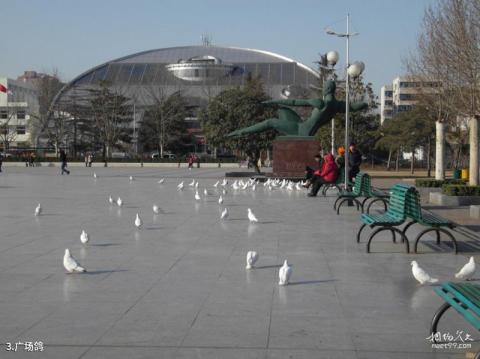 郑州绿城广场旅游攻略 之 广场鸽