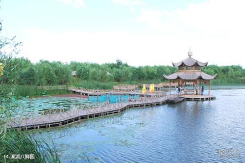 泰州溱湖风景区旅游攻略 之 溱湖八鲜园 泰州溱湖风景区旅游攻略 之 溱湖八鲜园