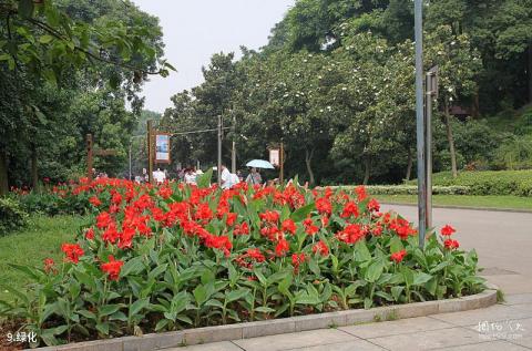 湖南烈士公园旅游攻略 之 绿化