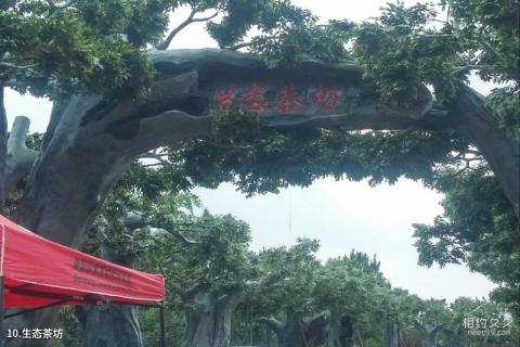 广西岑溪东山公园旅游攻略 之 生态茶坊 广西岑溪东山公园旅游攻略 之 生态茶坊