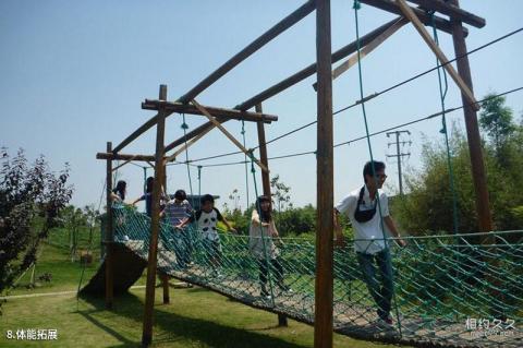 平湖市澳多奇农庄旅游攻略 之 体能拓展