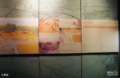 福建昙石山文化博物馆旅游攻略 之 考古