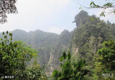 广西大明山国家级自然保护区旅游攻略 之 骆王点兵 广西大明山国家级自然保护区旅游攻略 之 骆王点兵