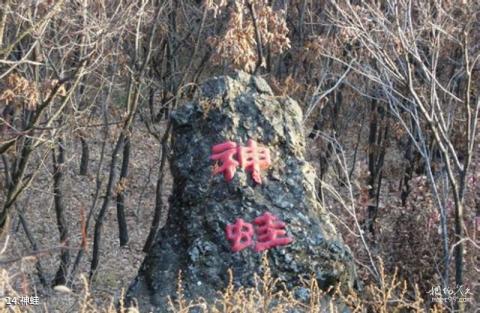 牡丹峰国家级自然保护区旅游攻略 之 神蛙