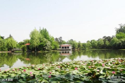 合肥植物园旅游攻略 之 水景园