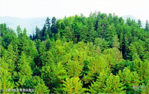 鹤岗国家森林公园旅游攻略 之 十里河生态旅游风景区