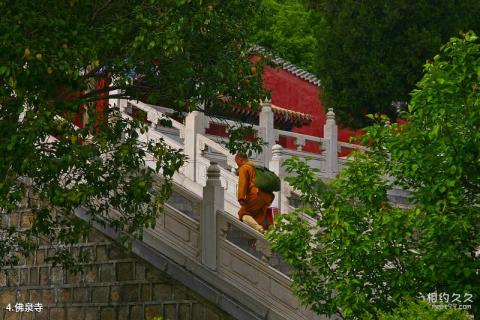 平顶山中原大佛旅游攻略 之 佛泉寺 平顶山中原大佛旅游攻略 之 佛泉寺
