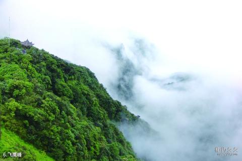 广西大明山国家级自然保护区旅游攻略 之 飞鹰峰