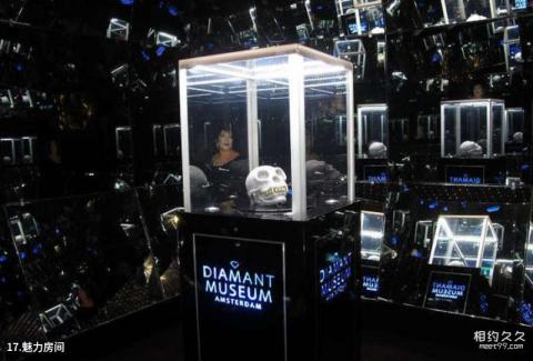阿姆斯特丹钻石博物馆旅游攻略 之 魅力房间