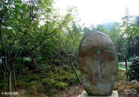 南昌梅岭风景区旅游攻略 之 中日友谊林 南昌梅岭风景区旅游攻略 之 中日友谊林