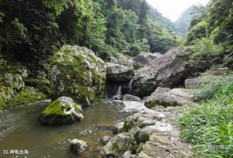 福州皇帝洞大峡谷景区旅游攻略 之 神龟出海
