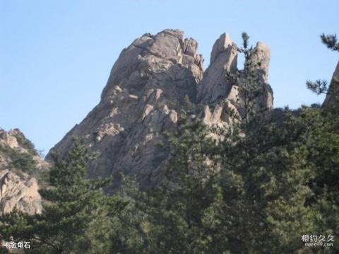 文成百丈漈风景区旅游攻略 之 金龟石
