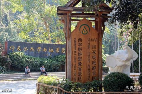 西双版纳野象谷旅游攻略 之 野象谷