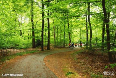 荷兰乌德勒支市旅游攻略 之 荷兰国家森林公园 荷兰乌德勒支市旅游攻略 之 荷兰国家森林公园