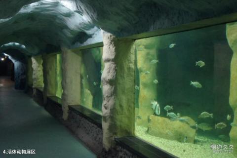 连云港连岛海底世界旅游攻略 之 活体动物展区