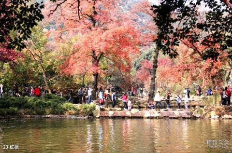 苏州天平山风景区旅游攻略 之 红枫 苏州天平山风景区旅游攻略 之 红枫