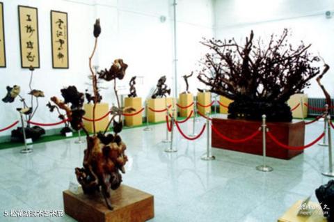 吉林市博物馆旅游攻略 之 松花湖浪木艺术展 吉林市博物馆旅游攻略 之 松花湖浪木艺术展