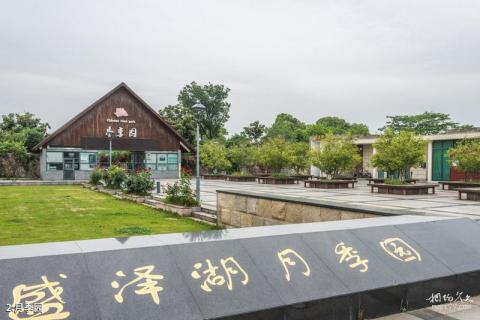 苏州相城盛泽湖月季园旅游攻略 之 月季园