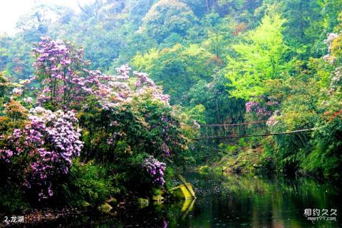 广西大明山国家级自然保护区旅游攻略 之 龙湖