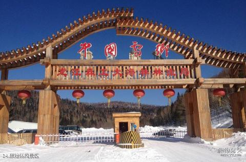 黑龙江中国雪乡旅游攻略 之 原始林风景区