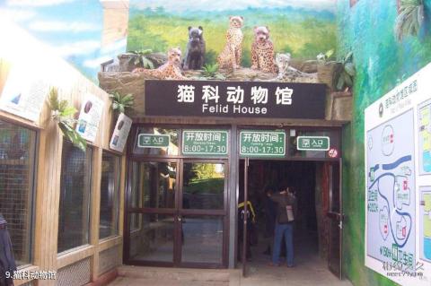 北京动物园旅游攻略 之 猫科动物馆 北京动物园旅游攻略 之 猫科动物馆