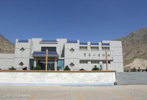 宁夏苏峪口国家森林公园旅游攻略 之 贺兰山自然博物馆 宁夏苏峪口国家森林公园旅游攻略 之 贺兰山自然博物馆