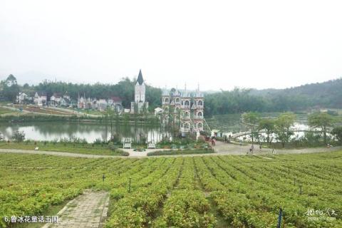 惠州龙门天然温泉旅游区旅游攻略 之 鲁冰花童话王国