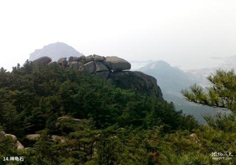 荣成槎山风景区旅游攻略 之 神龟石