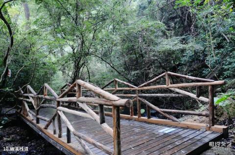 桂林漓江逍遥湖景区旅游攻略 之 幽溪栈道 桂林漓江逍遥湖景区旅游攻略 之 幽溪栈道
