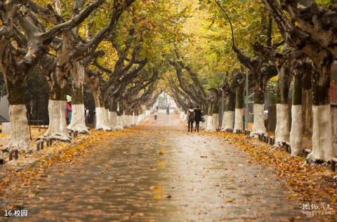 南京艺术学院旅游攻略 之 校园