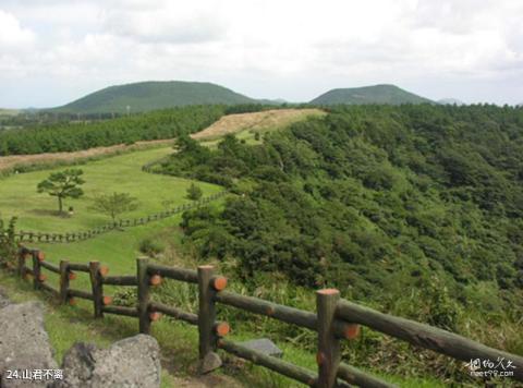 韩国济州岛旅游攻略 之 山君不离