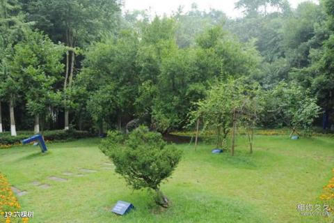 广安邓小平故里旅游攻略 之 六棵树 广安邓小平故里旅游攻略 之 六棵树