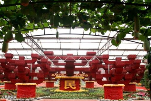 寿光蔬菜高科技示范园旅游攻略 之 蔬菜景观