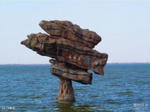 东营龙悦湖天鹅湖旅游攻略 之 飞来石
