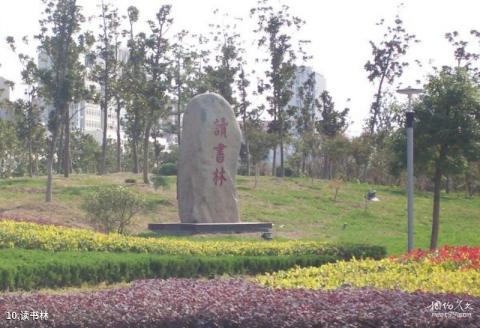 白天鹅公园旅游攻略 之 读书林