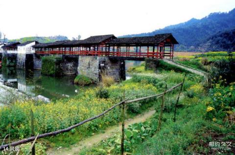 婺源彩虹桥旅游攻略 之 风景