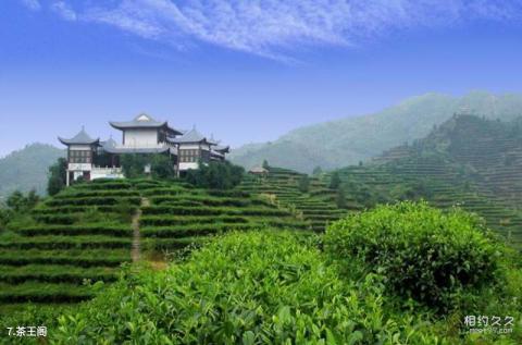 凌云茶山金字塔旅游攻略 之 茶王阁