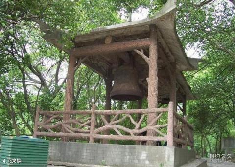 岳阳君山公园旅游攻略 之 飞来钟