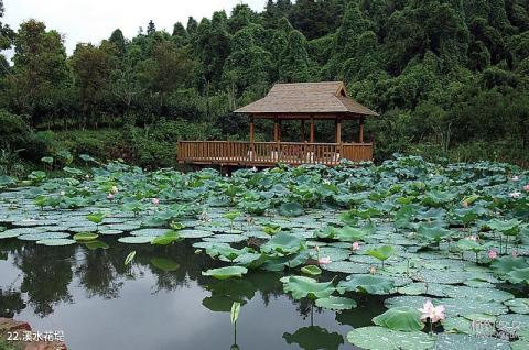 苏州天池山风景区旅游攻略 之 溪水花堤