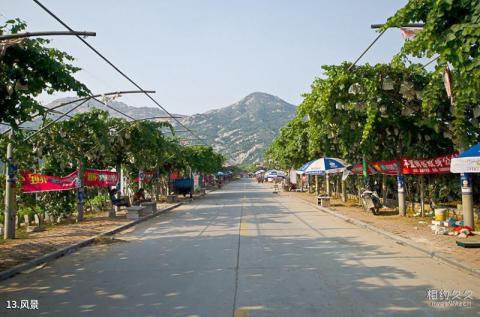平度大泽山风景区旅游攻略 之 风景 平度大泽山风景区旅游攻略 之 风景