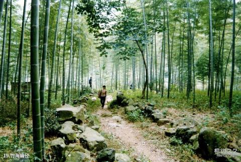 慈利五雷山风景区旅游攻略 之 竹海幽径