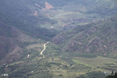 福建灵通山风景区旅游攻略 之 梯田