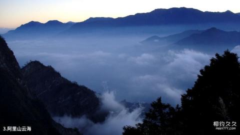 台湾阿里山景区旅游攻略 之 阿里山云海 台湾阿里山景区旅游攻略 之 阿里山云海