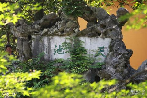 杭州玉皇山风景区旅游攻略 之 天一池